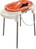 Rotho Babydesign Babybad TOP badset inclusief badkuipen inzet, badkuipen standaard, afvoerslang, made in germany(4 delig ) online kopen