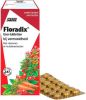Salus Floradix IJzer Tabletten online kopen